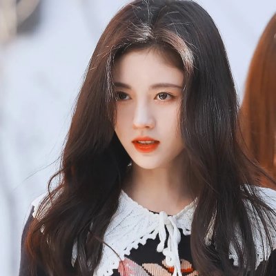 蜘蛛网